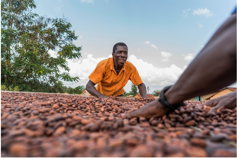 Swiss cocoa industry commits to sustainable cocoa